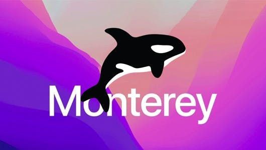 Orka on Monterey