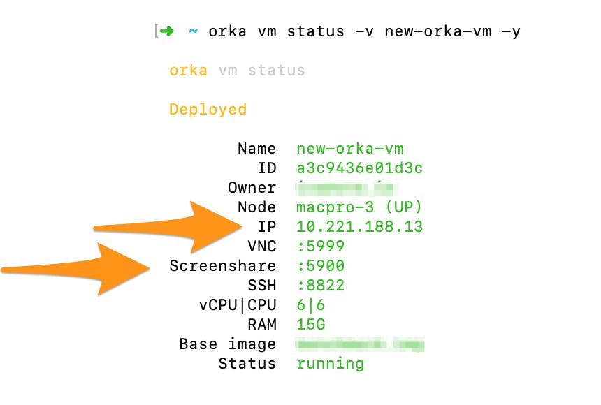 Screenshot of Orka CLI showing IP address and screenshare port