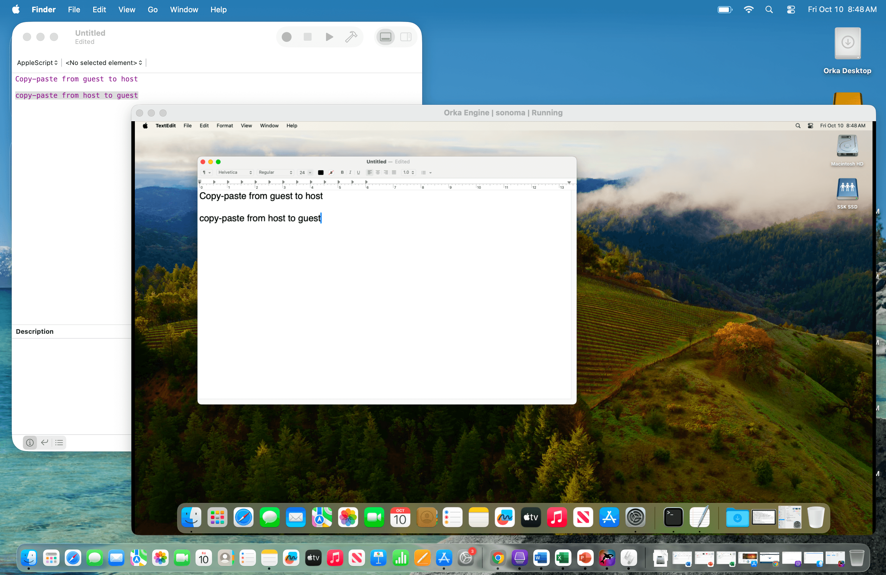 ORka Desktop 3.1 clipboard sharing